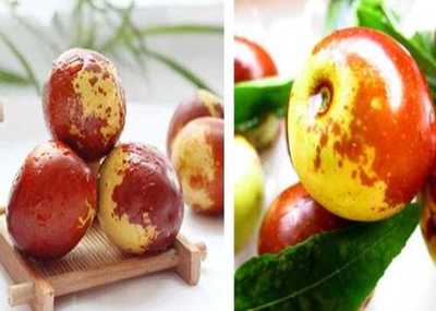 富平縣澤瑞源冬棗種植專業(yè)合作社與黃驊冬棗的產(chǎn)業(yè)發(fā)展探析